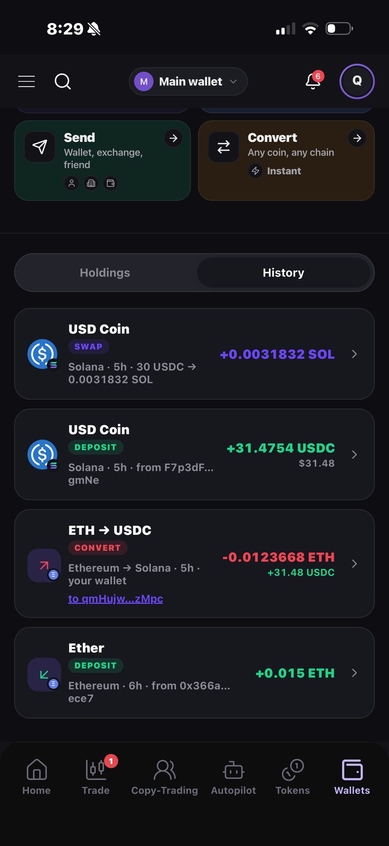 Wallet history with amounts, networks and explorer links